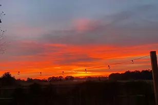 138 Eagle's Loop, Robertsdale, AL 36567 - Photo 19