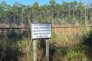 11842 Island Dr, Foley, AL 36535 - Photo 61