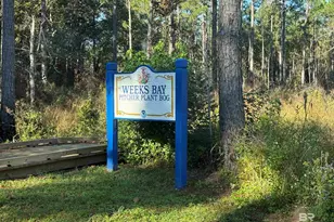 11842 Island Dr, Foley, AL 36535 - Photo 63