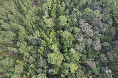 0 Dry Branch Lane, Robertsdale, AL 36567 - Photo 7