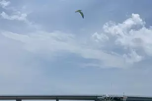 4688 Walker Ave, Orange Beach, AL 36561 - Photo 15