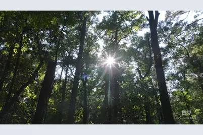 0 Old County Road, Daphne, AL 36526 - Photo 5