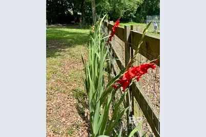 24250 N River Road, Daphne, AL 36526 - Photo 67