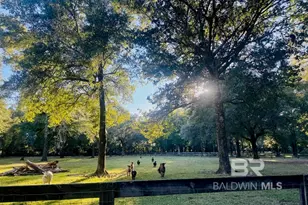 24250 N River Rd, Daphne, AL 36526 - Photo 47