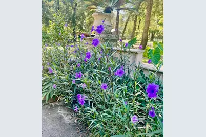 24250 N River Road, Daphne, AL 36526 - Photo 63