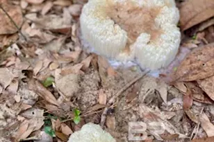 24250 N River Rd, Daphne, AL 36526 - Photo 59