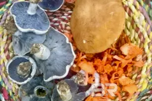 24250 N River Rd, Daphne, AL 36526 - Photo 61