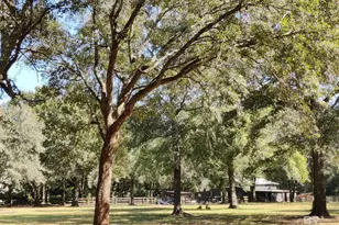 24250 N River Rd, Daphne, AL 36526 - Photo 69