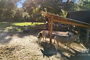 24250 N River Rd, Daphne, AL 36526 - Photo 73