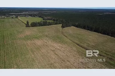 4900 Block Highway 97, Walnut Hill, FL 32568 - Photo 23
