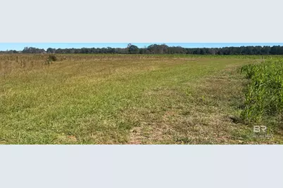 4900 Block Highway 97, Walnut Hill, FL 32568 - Photo 1