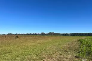 4900 Block Hwy 97, Walnut Hill, FL 32568 - Photo 1