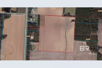 4900 Block Highway 97, Walnut Hill, FL 32568 - Photo 25