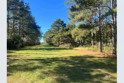 4900 Block Highway 97, Walnut Hill, FL 32568 - Photo 3