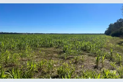4900 Block Highway 97, Walnut Hill, FL 32568 - Photo 5