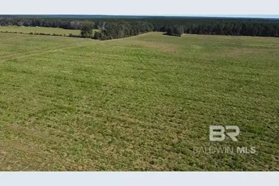 4900 Block Highway 97, Walnut Hill, FL 32568 - Photo 7