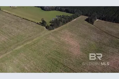 4900 Block Highway 97, Walnut Hill, FL 32568 - Photo 11