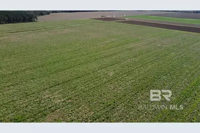 4900 Block Highway 97, Walnut Hill, FL 32568 - Photo 9