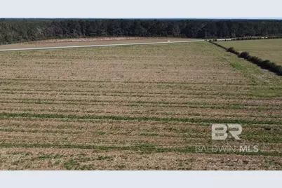 5600 Block Highway 97, Walnut Hill, FL 32568 - Photo 7