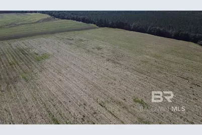 5600 Block Highway 97, Walnut Hill, FL 32568 - Photo 11