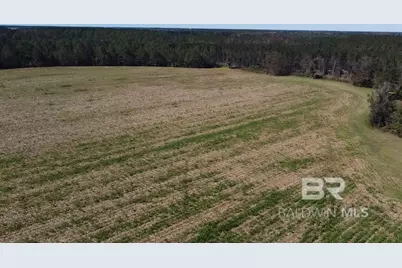 5600 Block Highway 97, Walnut Hill, FL 32568 - Photo 5