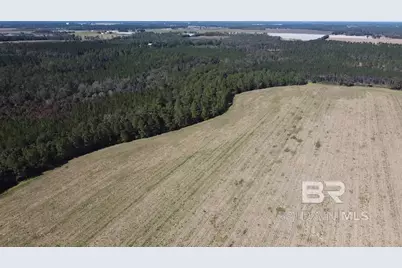 5600 Block Highway 97, Walnut Hill, FL 32568 - Photo 15