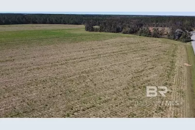 5600 Block Highway 97, Walnut Hill, FL 32568 - Photo 3