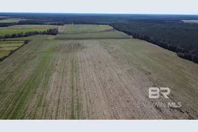 5600 Block Highway 97, Walnut Hill, FL 32568 - Photo 25