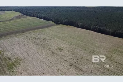 5600 Block Highway 97, Walnut Hill, FL 32568 - Photo 13