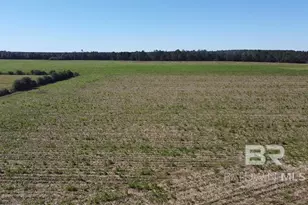 5600 Block Hwy 97, Walnut Hill, FL 32568 - Photo 1