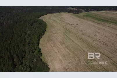 5600 Block Highway 97, Walnut Hill, FL 32568 - Photo 19