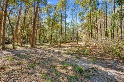 11010 Coleman Lane, Elberta, AL 36530 - Photo 15