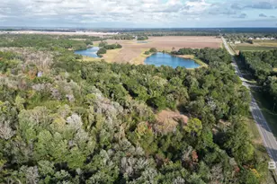 13881 US Hwy 98, Foley, AL 36535 - Photo 1