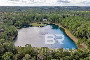 4650 Wiggins Rd, Wilmer, AL 36587 - Photo 63