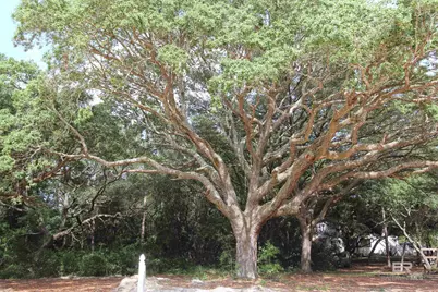 8667 Anniston Drive, Perdido Beach, AL 36530 - Photo 27