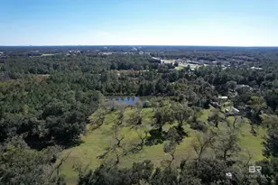 15810 Co Rd 73, Foley, AL 36535 - Photo 55