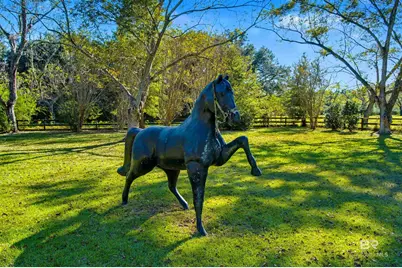 15810 County Road 73, Foley, AL 36535 - Photo 9
