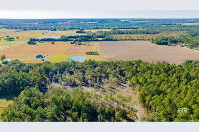 0 County Road 95, Elberta, AL 36530 - Photo 5