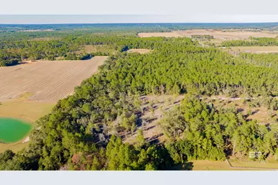 0 County Road 95, Elberta, AL 36530 - Photo 7