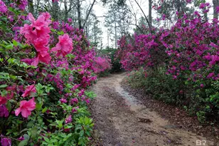 32771 Antietam Rd, Lillian, AL 36549 - Photo 25