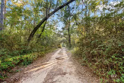 32771 Antietam Road, Lillian, AL 36549 - Photo 91