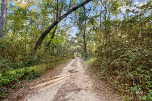 32771 Antietam Rd, Lillian, AL 36549 - Photo 91