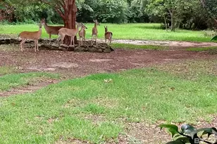 32771 Antietam Rd, Lillian, AL 36549 - Photo 27