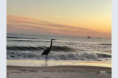 375 Beach Club Trail #1007, Gulf Shores, AL 36542 - Photo 75