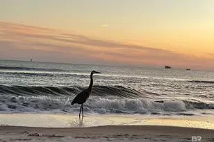 375 Beach Club Trail, Gulf Shores, AL 36542 - Photo 77