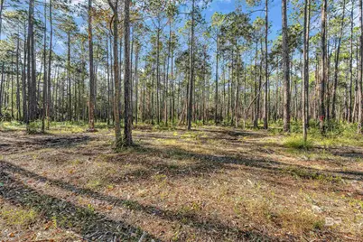 0 Bay Road, Foley, AL 36535 - Photo 3