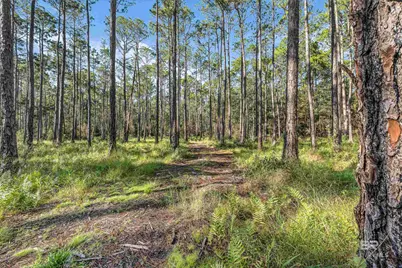 0 Bay Road, Foley, AL 36535 - Photo 13