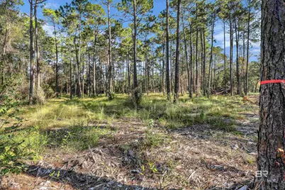 0 Bay Road, Foley, AL 36535 - Photo 11