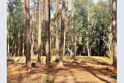 0 Bay Road, Foley, AL 36535 - Photo 9