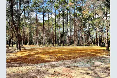 0 Bay Road, Foley, AL 36535 - Photo 13